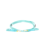 LPFOM4LCLCR02-AD-2-l.png
