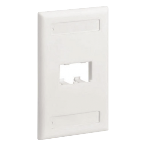 Placa de Pared Vertical Clásica, Salida Para 2 Puertos Mini-Com, Con Espacios Para Etiquetas, Color Blanco