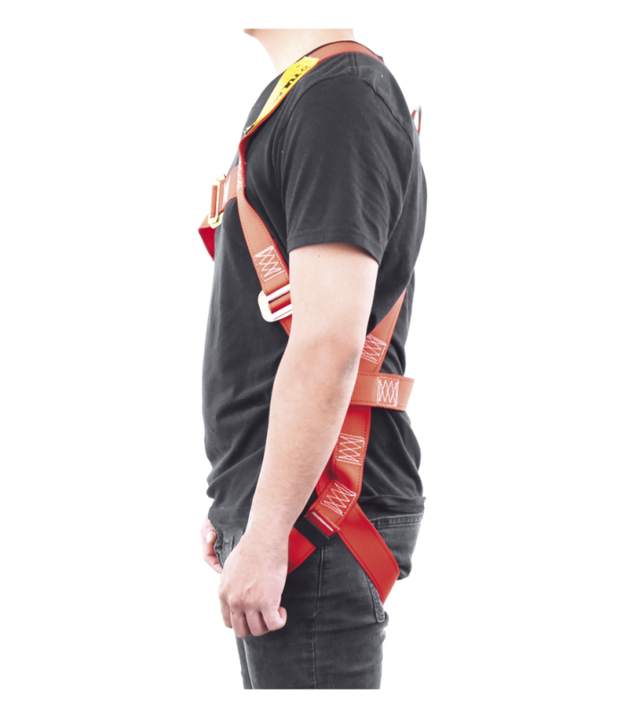 sec_2_0S1000-259.png