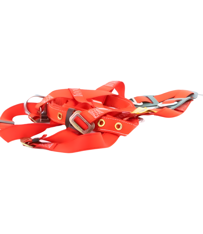 sec_5_2S1000-495.png