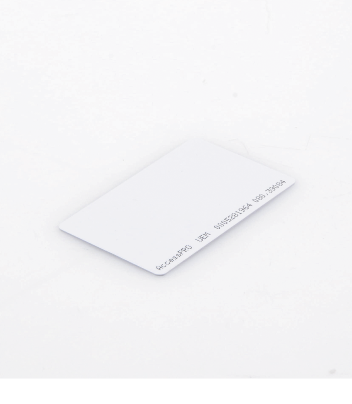 ACCESSDUALUP-AD-2-l.png